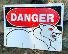 DANGER (2025)