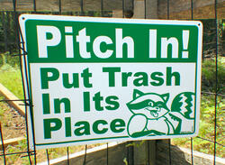 PITCH IN! (2025)