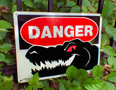 DANGER (2025)